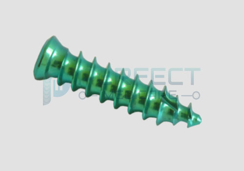 EXPANDABLE CAGE BONE SCREW SELF DRILLING & TAPPING