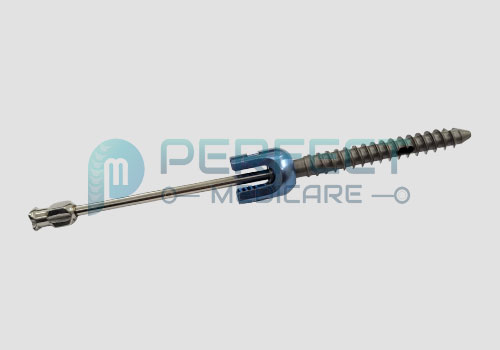 FENESTRATED SCREW CEMENTING NEEDLE