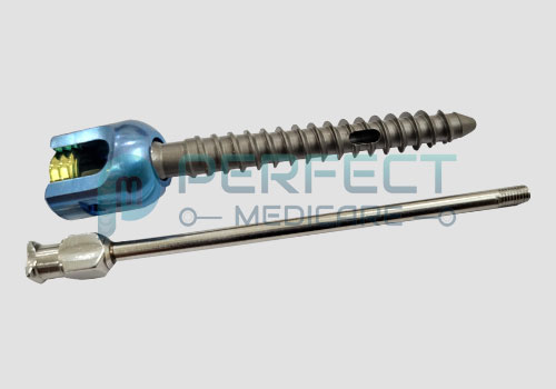 FENESTRATED POLY AXIAL SCREW