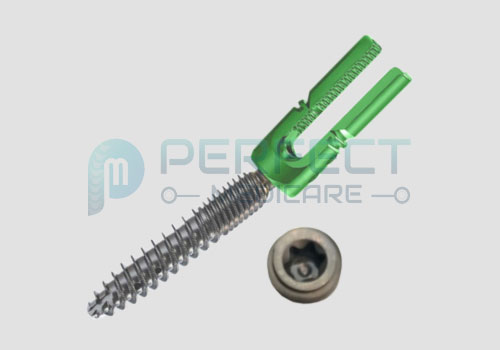 REDUCTION POLYAXIAL SCREW